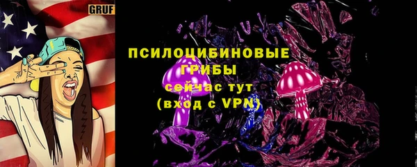 ГАЛЛЮЦИНОГЕННЫЕ ГРИБЫ Лабытнанги
