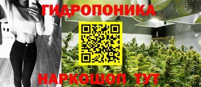 гидра Апшеронск