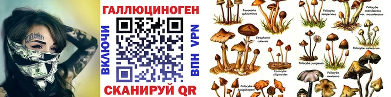 Псилоцибиновые грибы Magic Shrooms  Электросталь 