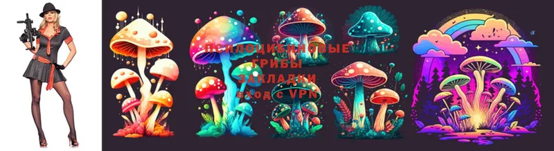 как найти закладки  Электросталь  Галлюциногенные грибы MAGIC MUSHROOMS 