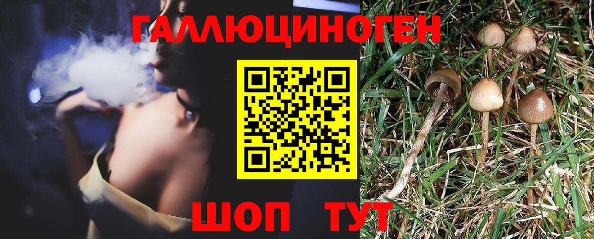 Электросталь  Псилоцибиновые грибы ЛСД  Вход с VPN  Галлюциногенные грибы MAGIC MUSHROOMS 