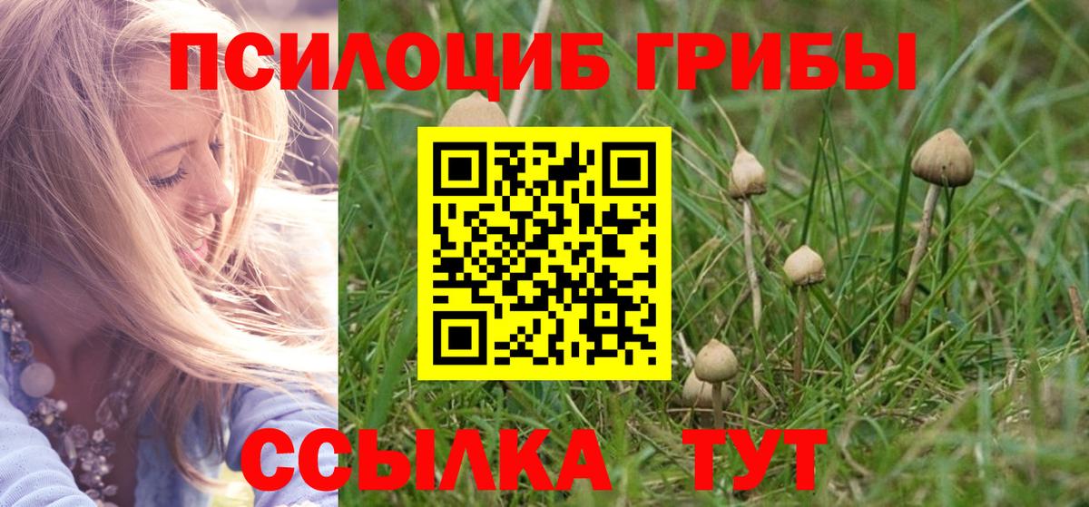 Галлюциногенные грибы Magic Shrooms  Электросталь  Псилоцибиновые грибы MAGIC MUSHROOMS 