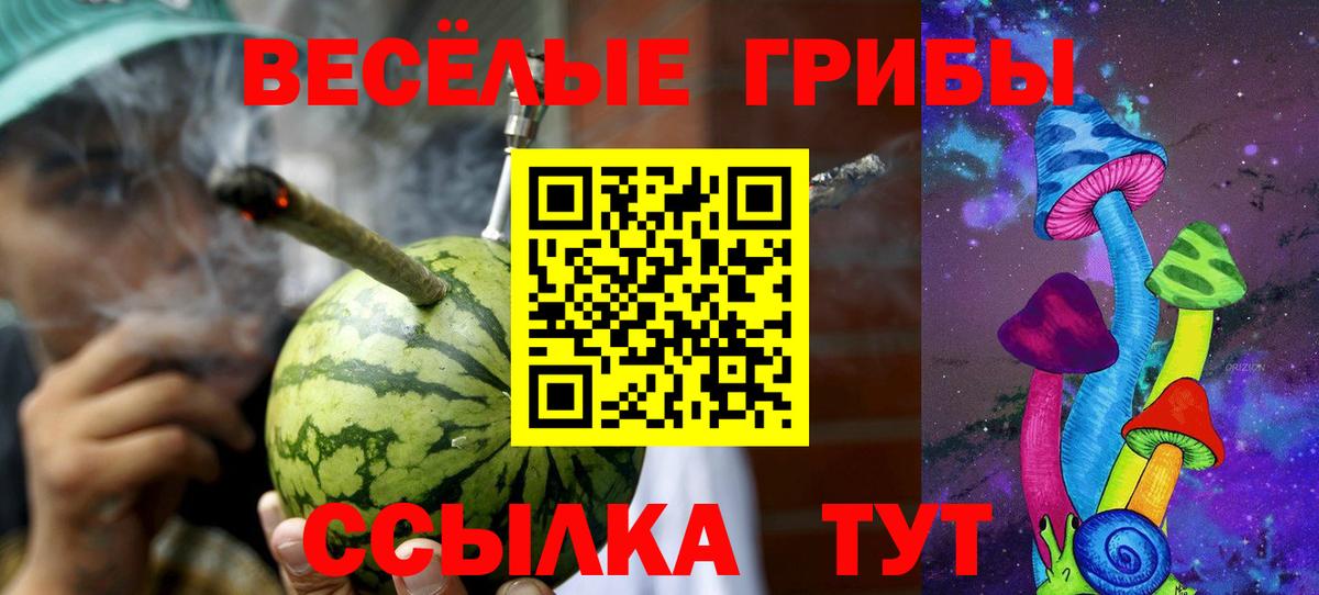 Галлюциногенные грибы мухоморы Электросталь
